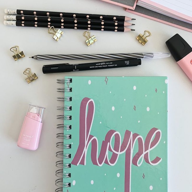 Scandi Daily Log