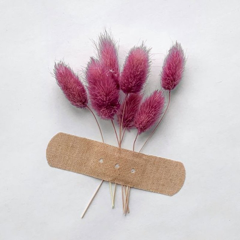 Pressed Flora Washi Trio
